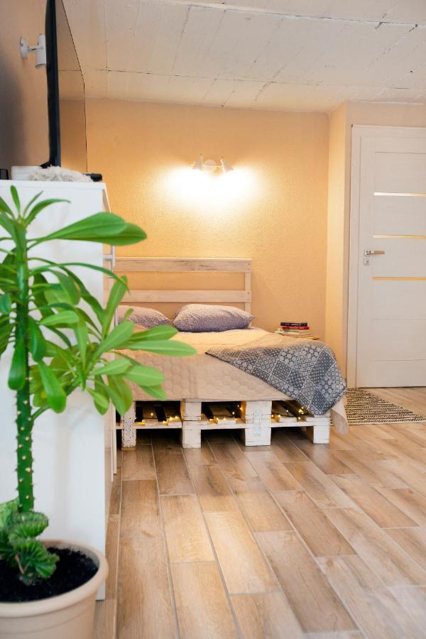 Apartment In Garage With Free Parking Kaunas Exterior foto